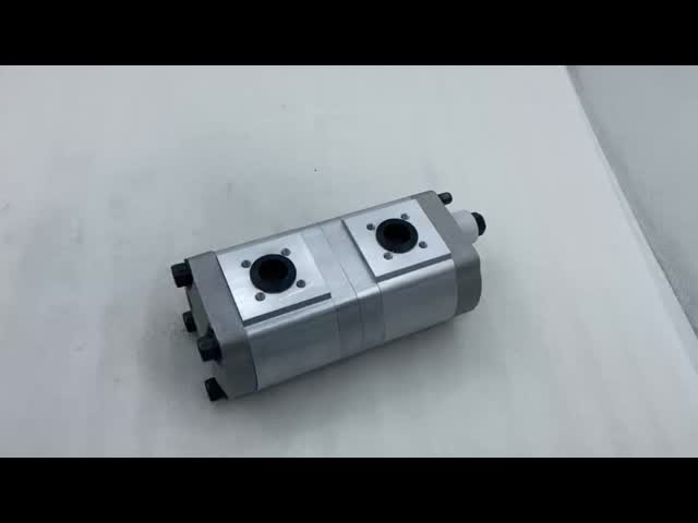 High Quality Road Roller Gear Pump 05813175 05813270 05810509 for BOMAG BW203AD-4