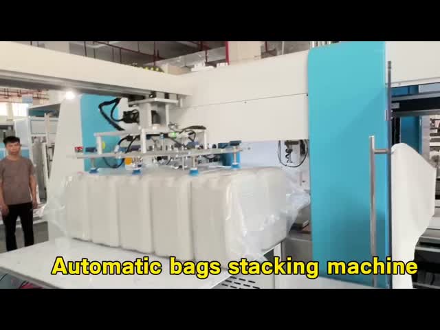 Automatic Bagged Plastic Bottle Palletizer Equipment For 2.5 Meter High Stacking