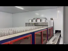 30Tpd Clear High-End Cosmetic Bottle Glass Production Line for Customized Container Manufacturing