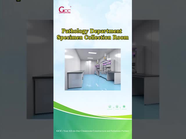 Modular Design , High Quality Pathology Workstation for Specimen Collection Room GCC Southeast Asia