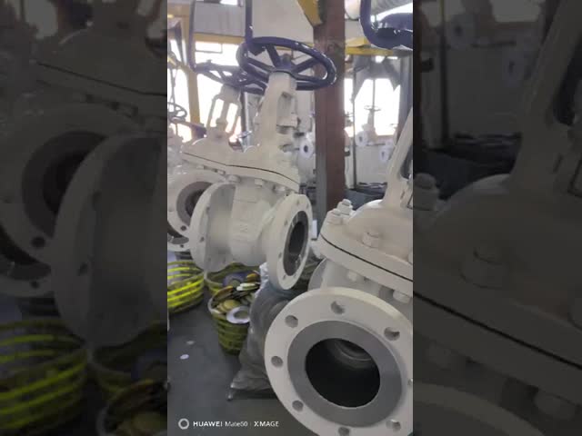 DIN Handwheel Stainless Steel Gate Valve with Non Rising Stem and Seated CF8M for PN10-16 Pressure