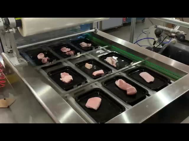 Automatic Continuous Vacuum Skin Displacement Chain Plastic Tray Sealer DQ630AT-VS High Quality Tray Sealer Machine video