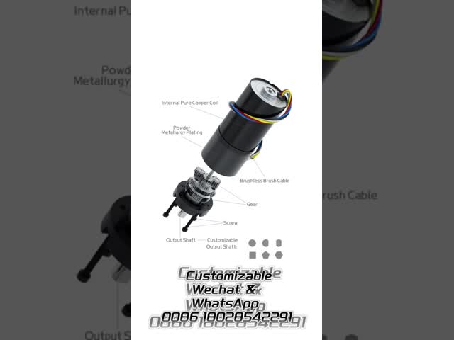 Customized ф36mm 12V 24V High Efficiency Planetary Gear Motor with Large Torque for Industrial Applications