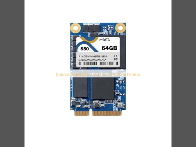 Internal Hard Drive SSD and Trustworthiness