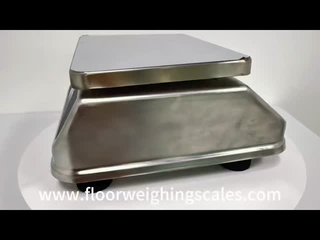 Stainless Steel Scale D6 Waterproof Weight Scale IP68 Weighing Digital Waterproof Scales