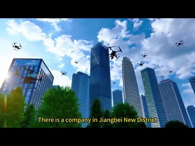 Company Introduction