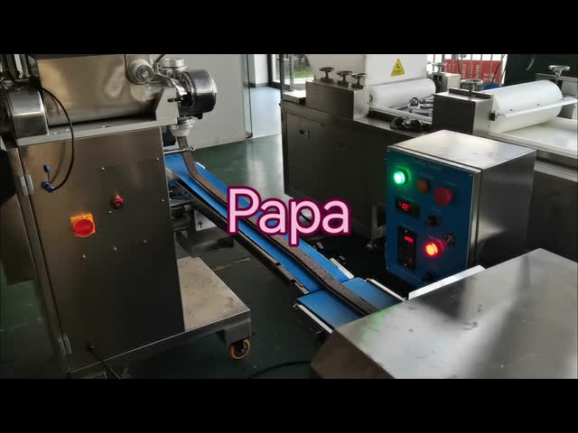 304 stainless steel automatic efficient Fig Bar Making Machine