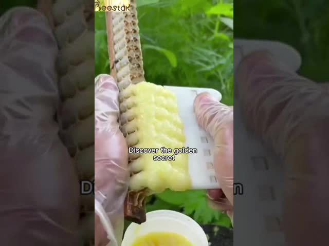 100% Natural Lyophilized Royal Jelly Powder For Health Care
