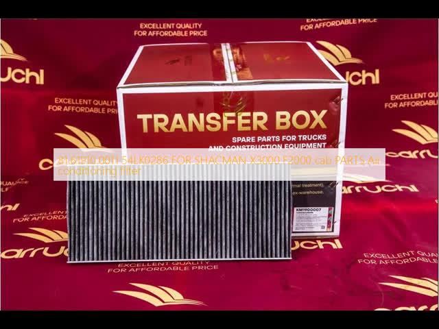 81.61910.0011 54LK0286 para SHACMAN X3000 F2000 cabina PARTES filtro de aire acondicionado El video