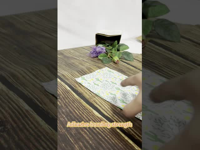 Semi-Transparent EVA Frosted Zipper Bag with Frosted White Matte Finish for Travel Storage