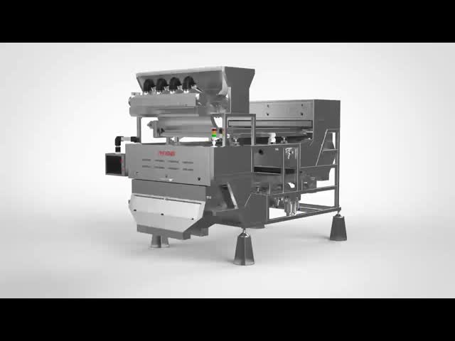 AI RGB Cashew Sorting Machine Stainless Steel Raw Cashew Nut Grading Machine