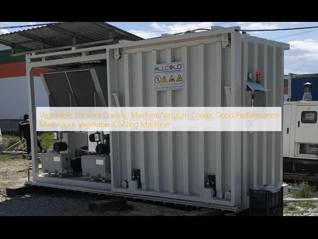 Machine de refroidissement végétale de champignon de machine végétale de réfgigération sous vide/représentation refroidisseur de vide de bonne vidéo