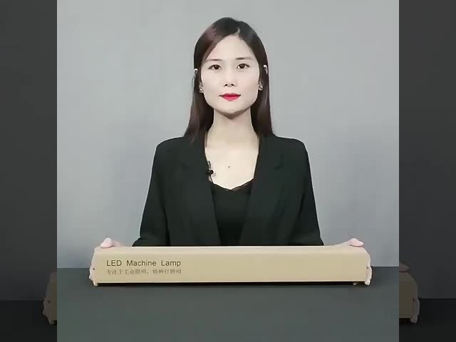 24V 220V DC CNC Machine Lamp Industrial 6000K Ip68 Machine Tool Work Light