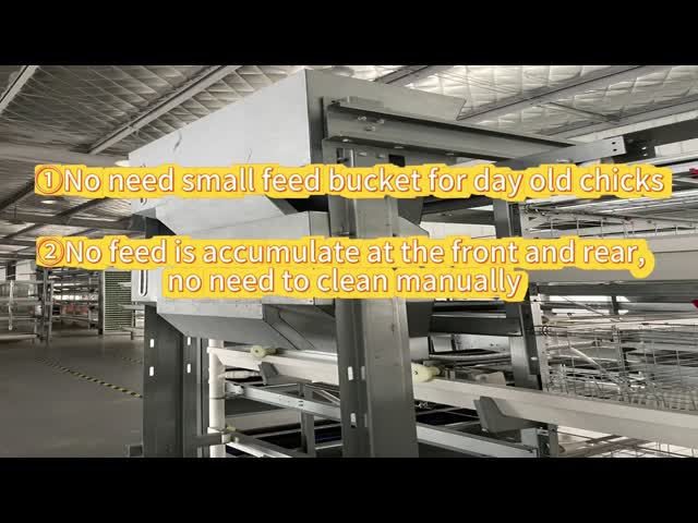 6. No feed is accumulate at the front and rear and no need small feed bucket for day old chicks