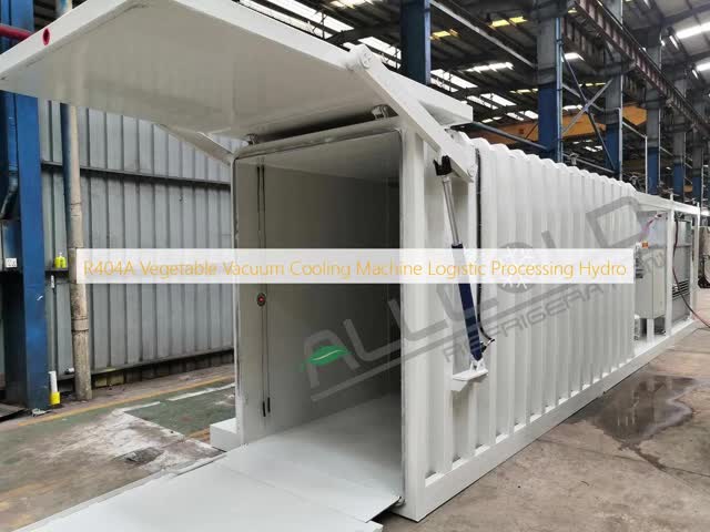 Vácuo vegetal de R404A - energia hidráulica de processamento logística refrigerando da máquina vídeo