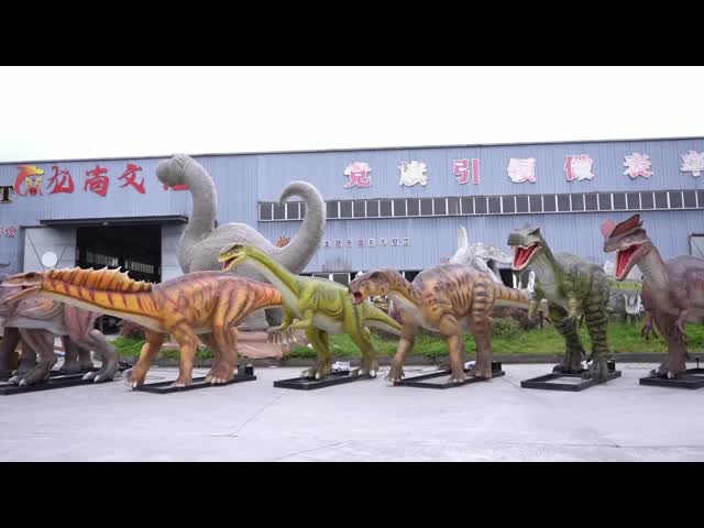 Factory On-Site Shooting Video