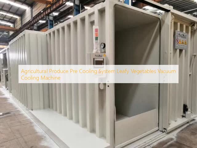 Machine de refroidissement sous vide de légumes feuillus de système de refroidissement de produit agricole pré vidéo