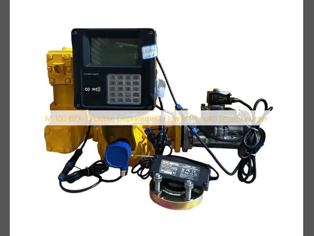 M-100-BPX-1  Positive Displacement Flow Meter with Smart Counter