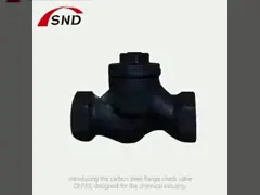 ASTM A570 Flanged Check Valve DN150 OEM For Chemical Industry