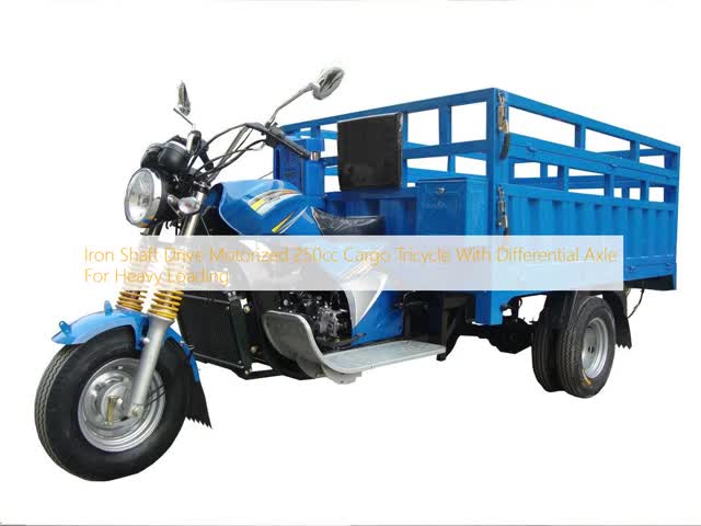 Iron Shaft Drive Motorized 250cc Cargo Tricycle With Differential Axle For Heavy Loading