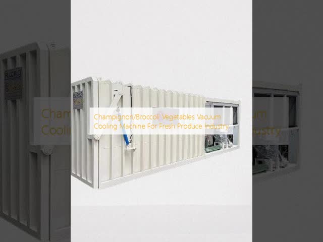 Champignon/Broccoli Vegetables Vacuum Cooling Machine For Fresh Produce Industry