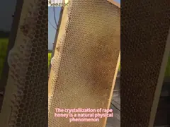 China Durable Pollen  Shovel With Wooden Handle of Honey Decapping Tools Scraper supplier