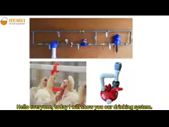 China “A” Type Layer Chicken Cage Equipment supplier