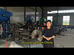 China High Durability Defensive Barrier Protective Wall Manufactured With Welded Mesh Technique supplier