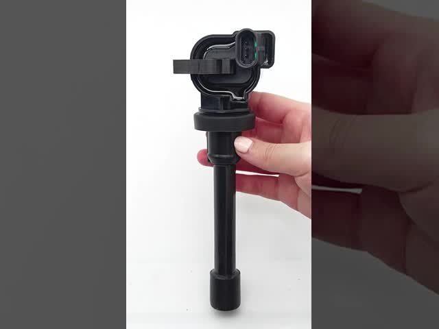 OEM BNW-IN-107B Landwind Haval Vehicle Ignition Coil High Reliability