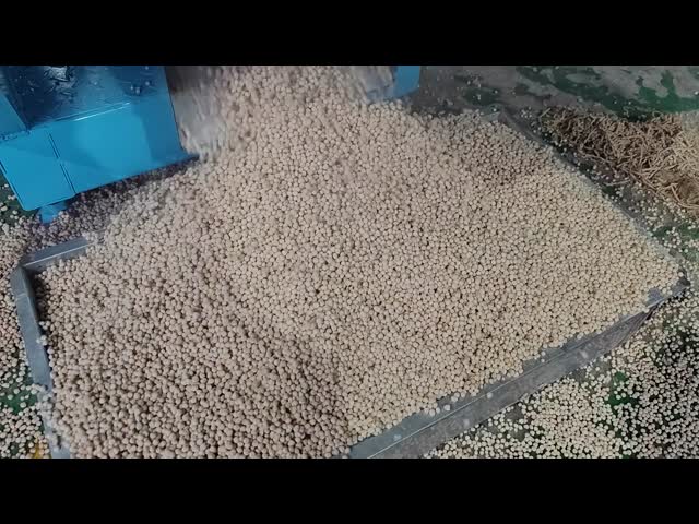 AC220V  Animal Pet Feed Production Line Extruder Making Machine 1mm 2.5mm