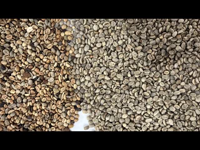 Coffee Beans Rice Grain Color Shape Sorting Machine Ccd Optical Technology For Dry Vegetables