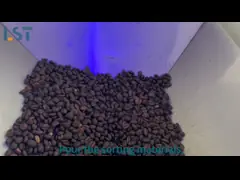 China Essential Oil Extractor Lab Distillation Equipment Distiller Plant seed supplier