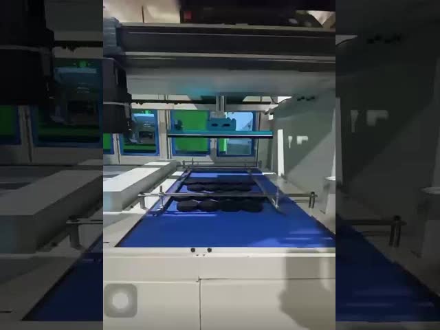 3600Cases/Hour Bottle Wrapping Machine Automated Bottle Cartoning Machine