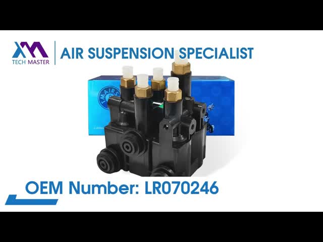 High Performance Audi Air Suspension Parts Automobile Compressor Cylinder