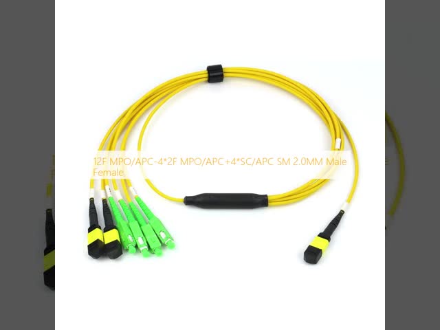 12F MPO/APC-4*2F MPO/APC+4*SC/APC SM 2.0MM Male Female