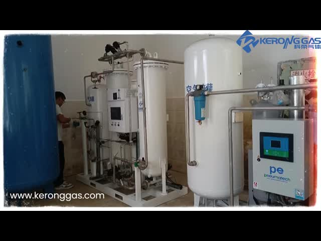 230V 60Hz Compressed Air Oxygen Generator With Atlas Copco Air Compressor