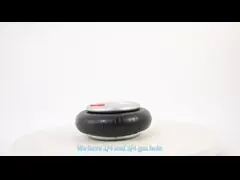 La amortiguación de aire con resorte del pedernal W01-358-7460 diseña 115 para la troqueladora de la hoja caliente