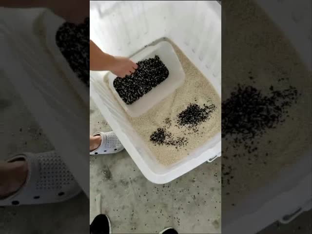 LC-M4H Grain Color Sorter Machine Minerals CCD Color Sorter