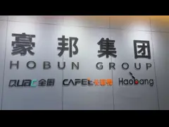 China Household Flue Gas Water Heater with Metal Panel and Water Pressure Start 0.02Mpa-0.8Mpa for Energy-Saving Performance supplier