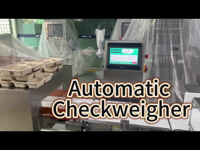 Automatic Industrial Conveyor Belt Check Weigher CheckWeight Machine Weight Scale