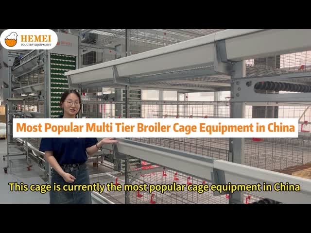 H Type Multi Tiers Manual Harvesting Broiler Cage Equipment