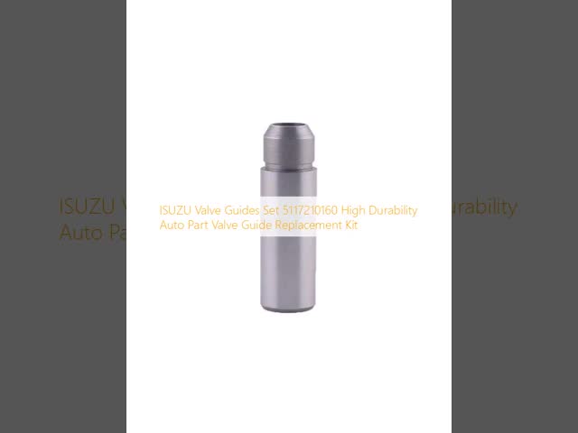 ISUZU Valve Guides Set 5117210160 High Durability Auto Part Valve Guide Replacement Kit