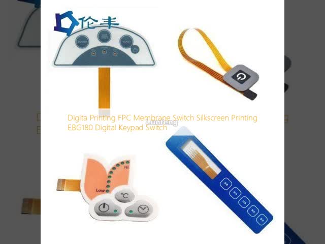 Digita Printing FPC Membrane Switch Silkscreen Printing EBG180 Digital Keypad Switch