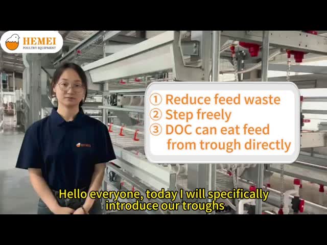 3. One-day old chicks can feed directly from the trough