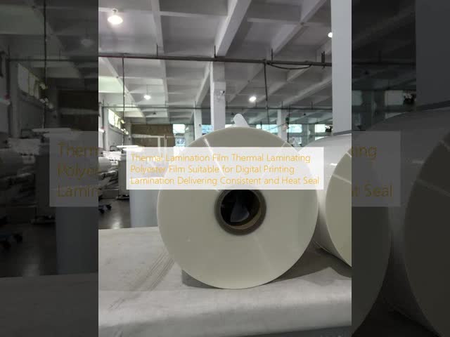 PET Thermal Lamination Film with 12-250 Microns Thickness and Up To 1650 Mm Width for Glossy Finish