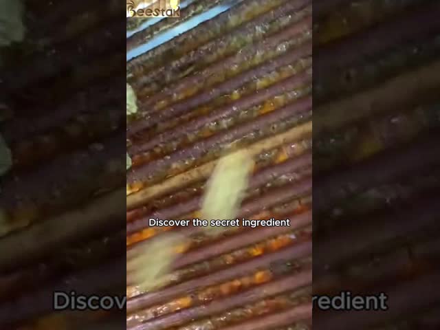 Medical grade pure natural bee propolis tablet for beekeeping black bee propolis capsules