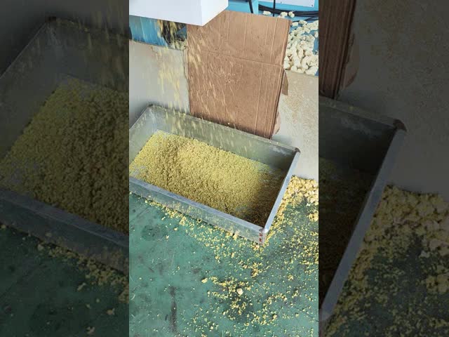 soybeans extruder machine