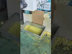 soybeans extruder machine