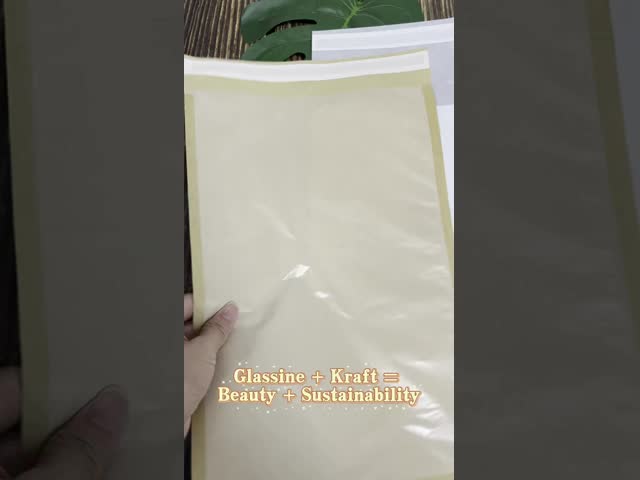 Eco-Friendly Recyclable PVC Zipper Bags with Heat Sealed Edges for Secure Packaging