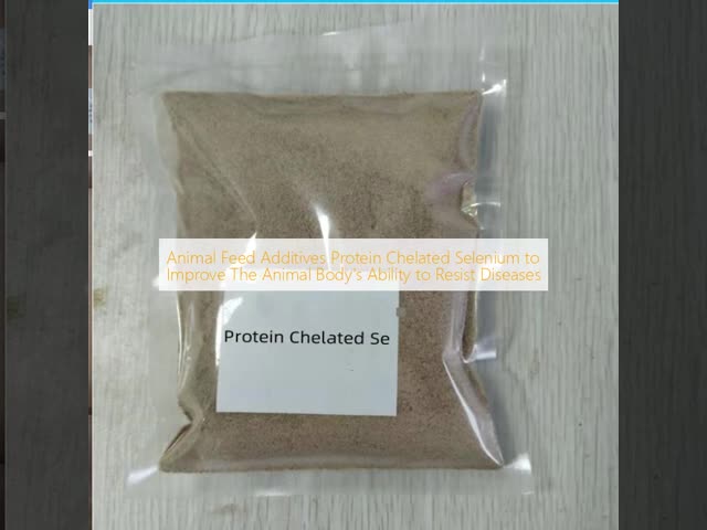 Protein Chelated Selenium Feed Additive with 0.2% Selenium Content for Disease Resistance and 2-Year Shelf Life